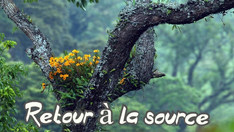 Retour à la source