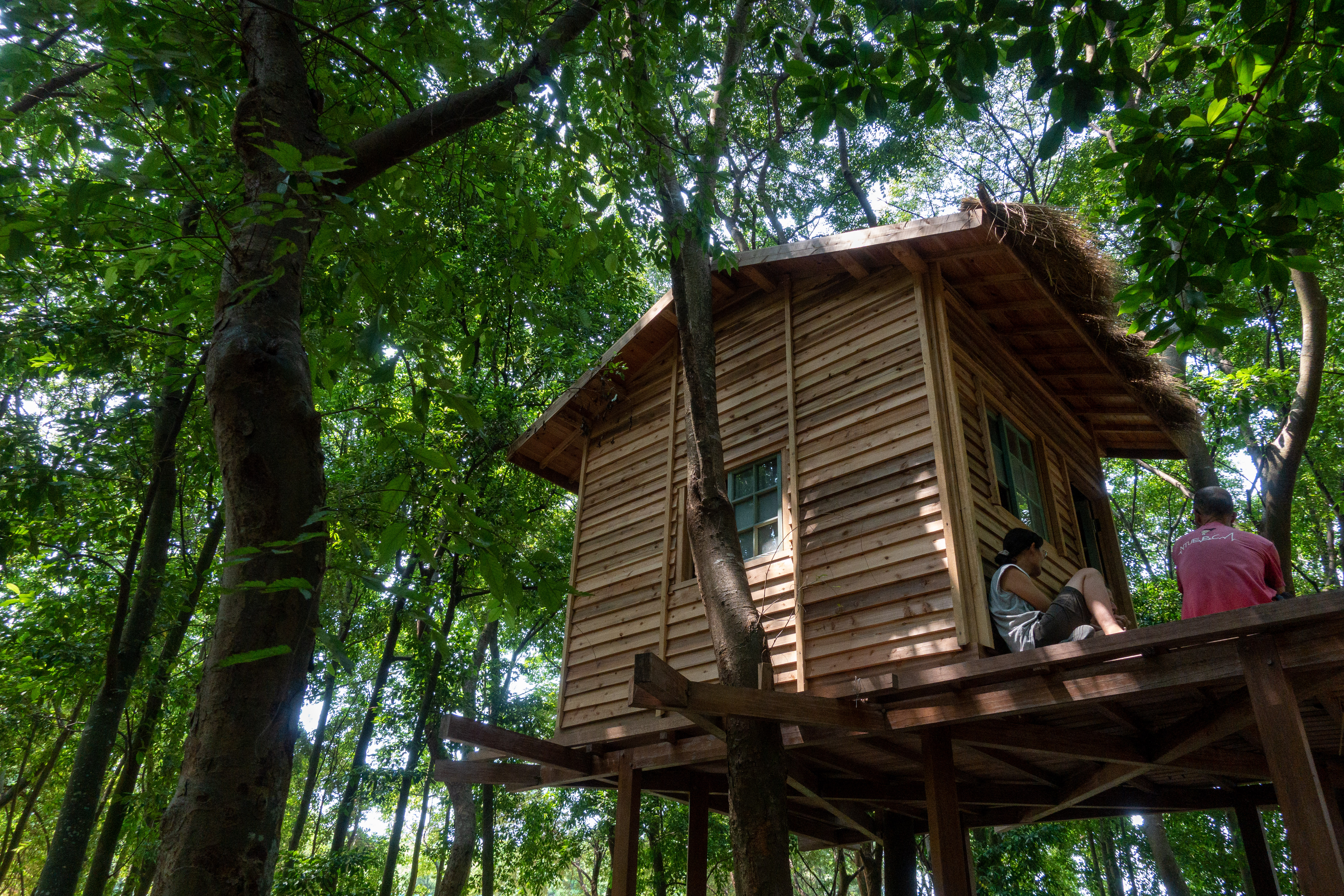 Cabane dans les arbres : du rêve à la réalité !