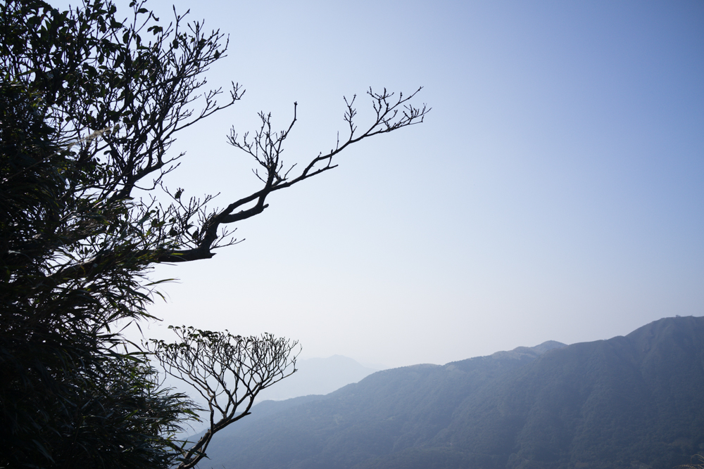 Taiwan dans toute sa diversité