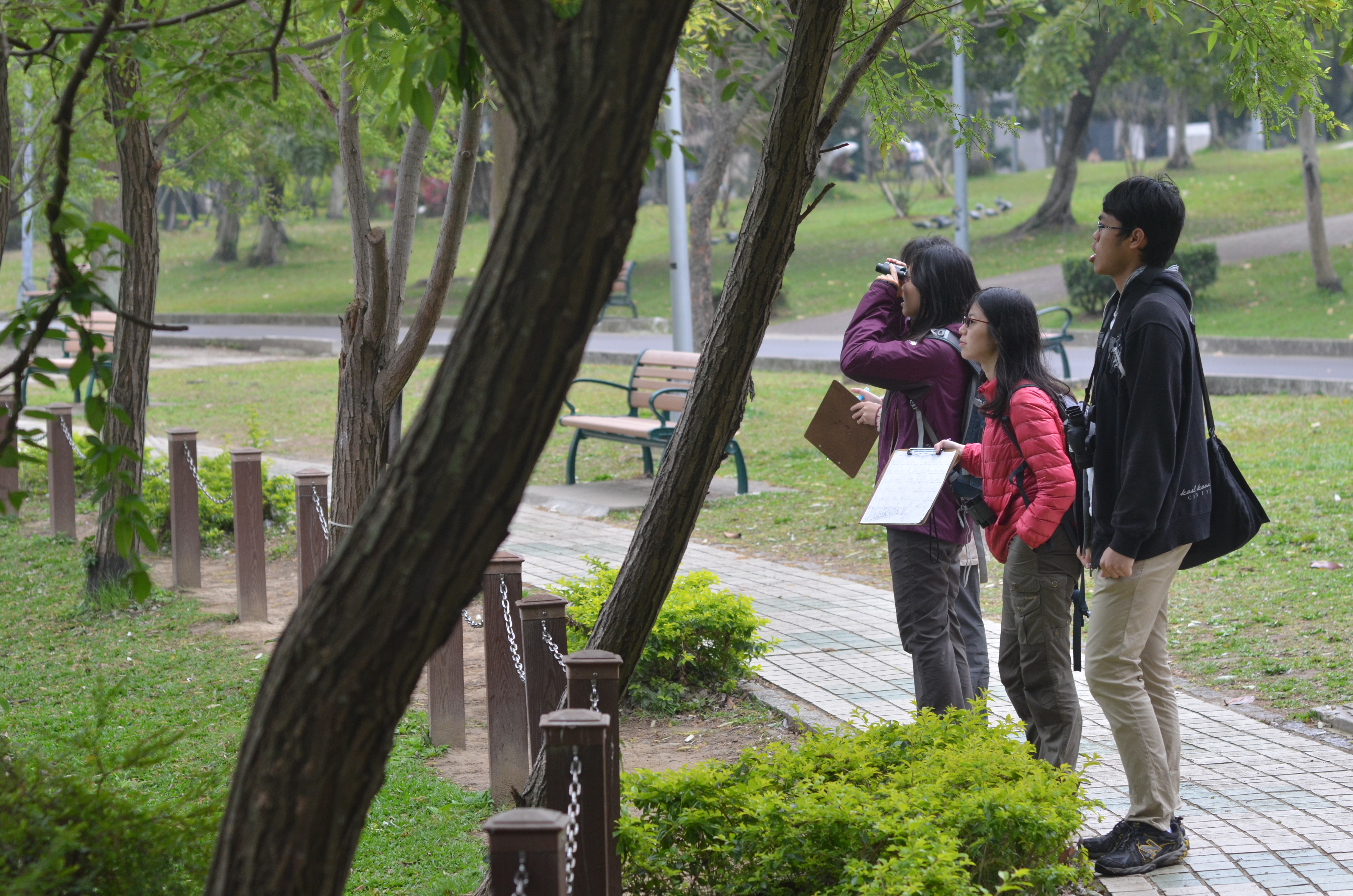 Taiwan dans toute sa diversité