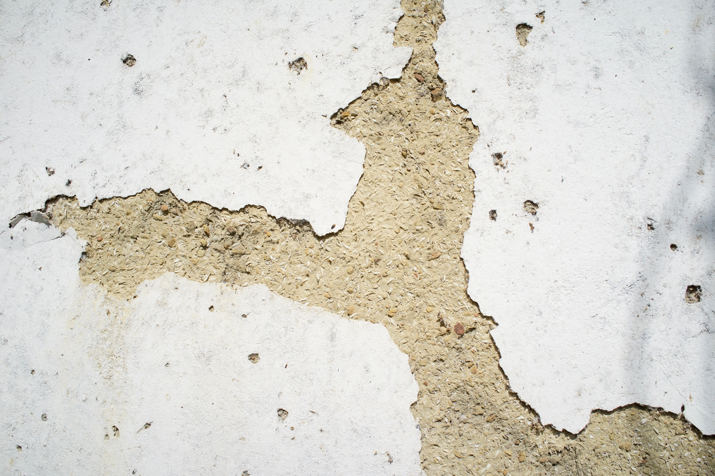Les joies de l'éco-construction