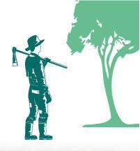 Le roi des arbres se paye la plus grande forêt privée du pays