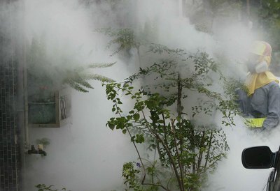 La fièvre dengue sévit plus que jamais dans le sud de Taiwan