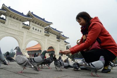 Le virus H7N9 de grippe aviaire est faiblement pathogène