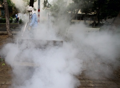 La fièvre Dengue a fait 42 morts