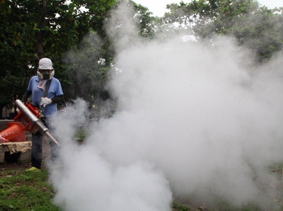 La fièvre Dengue n’est toujours pas maîtrisée