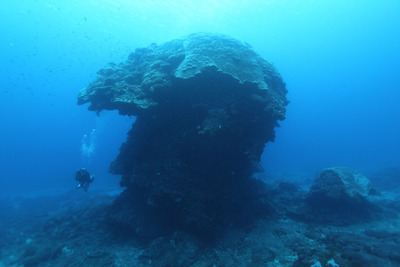 Le corail “Le Grand Champignon” détruit par le typhon Meranti