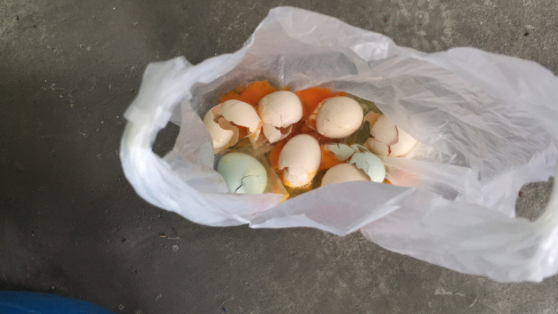 Contrôle général des œufs à la suite de la découverte de résidus de fipronil à Taïwan