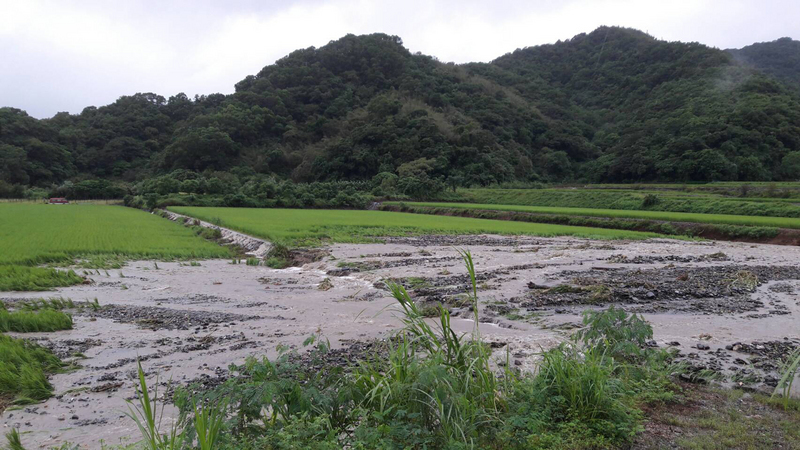 Les pertes agricoles sont estimées à plus de 30 millions de dollars taiwanais