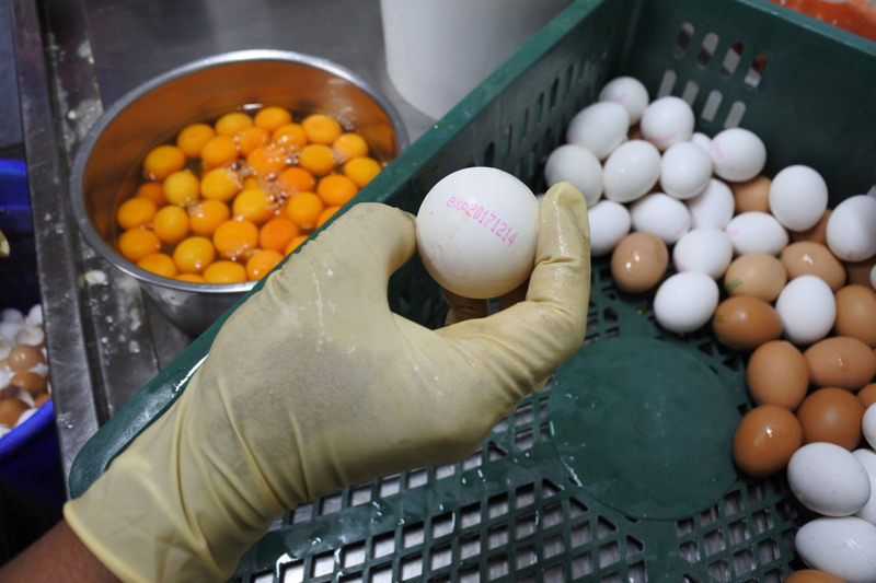 Ouverture de débats de 60 jours pour  la question des résidus de fipronil dans les oeufs