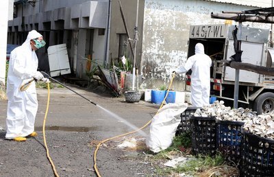 La fièvre Dengue a déjà touché plus de 18 000 personnes dans le pays