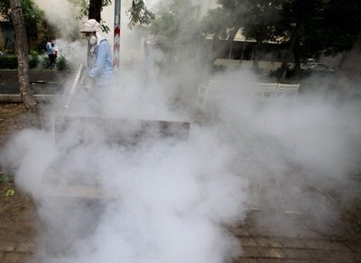 La fièvre Dengue a fait 42 morts