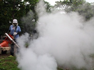 La fièvre Dengue n’est toujours pas maîtrisée