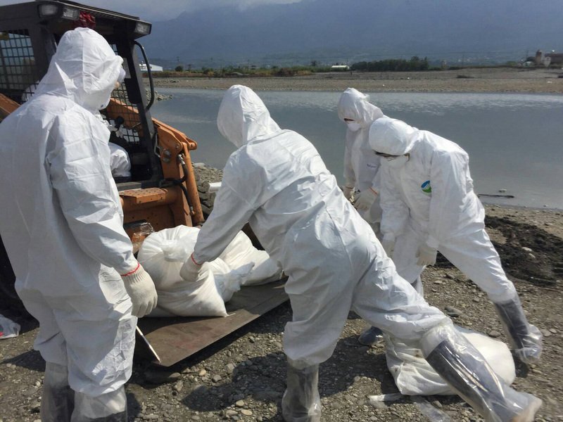 Taïwan se prépare contre une éventuelle épidémie de grippe aviaire