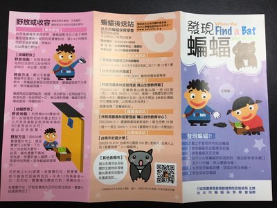 Taiwan suspecte un cas d’apparition d’un nouveau Lyssavirus