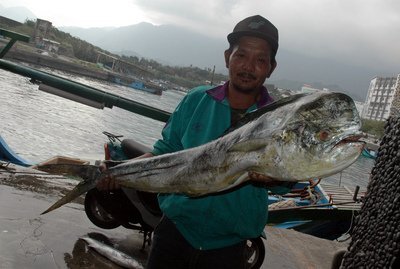 Une première espèce de poisson inscrite par Taiwan sur le site internet de SFP