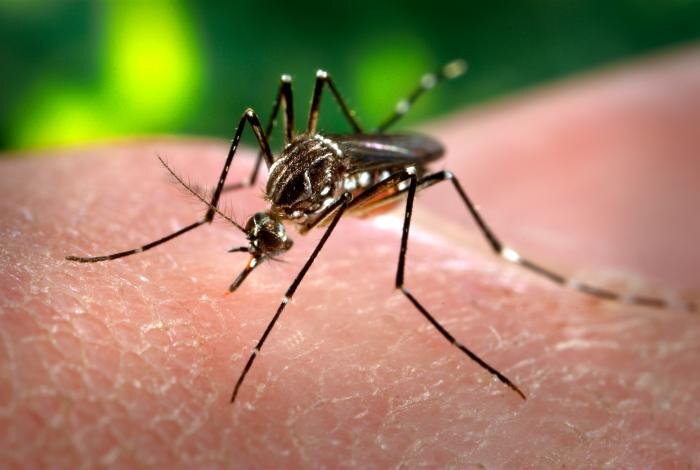 Une Taiwanaise infectée par le virus Zika