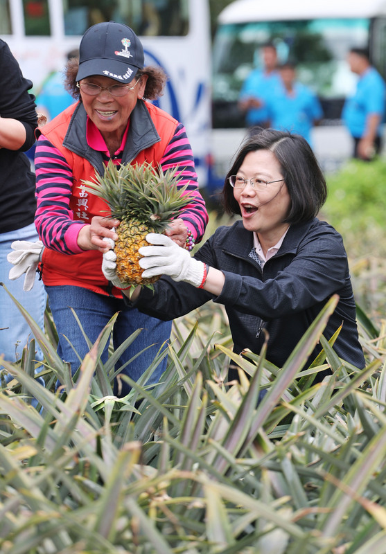Visite à Hualien de la chef de l’Etat : dégustation d’ananas sur place