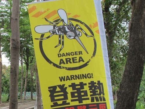 Attention à la fièvre Dengue (photo CNA)