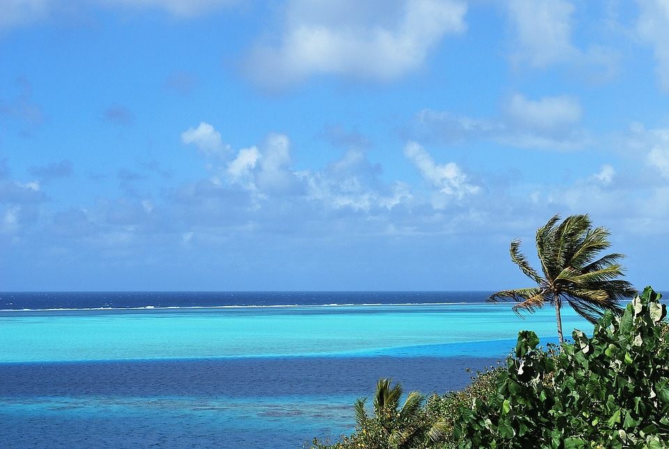 Les Incultes slaloment entre les îles du Pacifique et terminent dans le virage