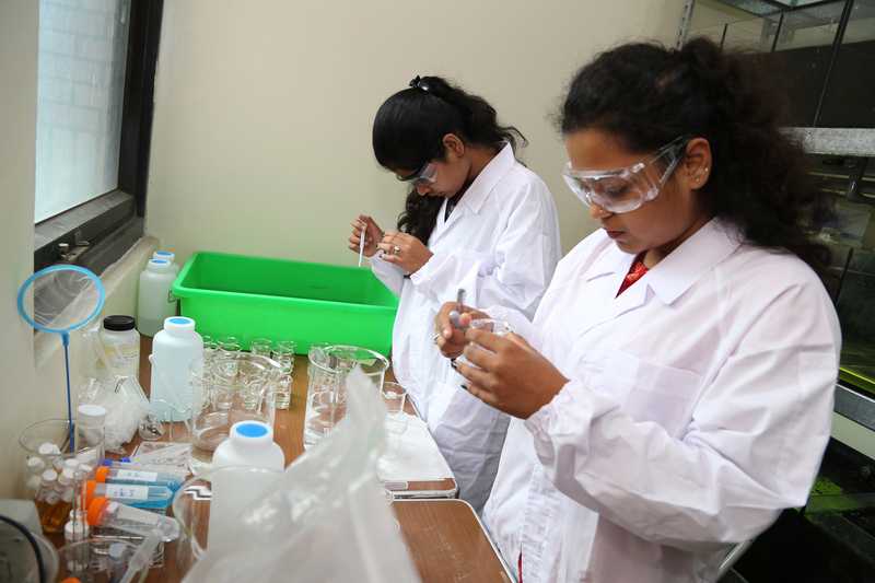 Des étudiants indiens à l'Université Tsing Hua (Image CNA)