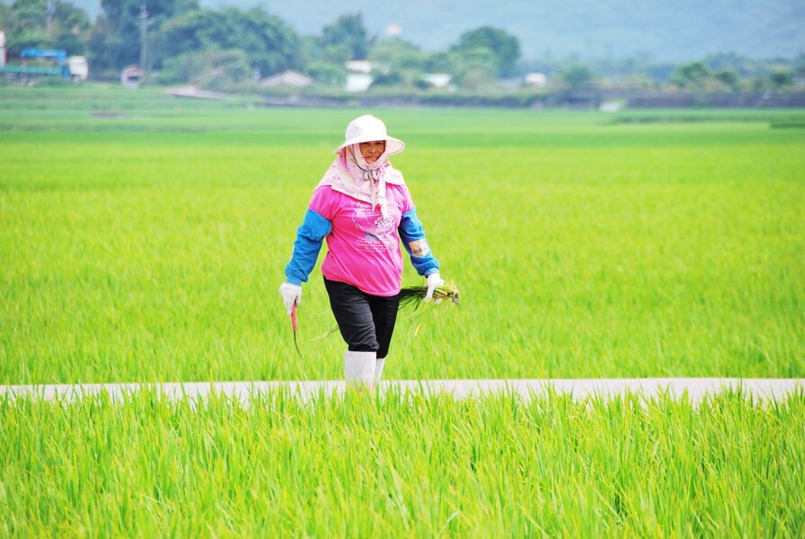 Taiwan se serait engagé à participer aux négociations de l’OMC en tant que pays développé