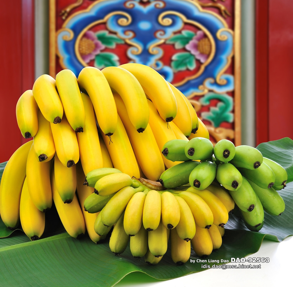 Les bananes de Yunlin ont réussi à pénétrer le marché japonais