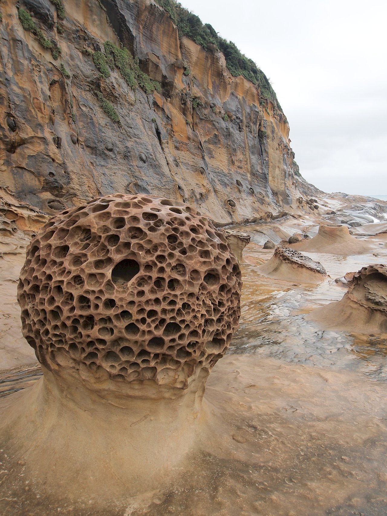 Flâneur de Taiwan : le parc géologique de Yehliu