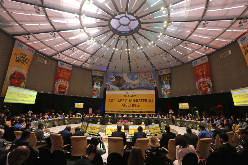 Le projet taiwano-russe pour le soutien financier des PME dirigées par des femmes largement soutenu à l’APEC