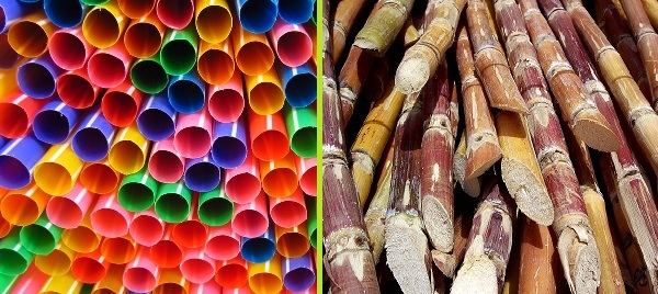 Les pailles écologiques de Taiwan font sensation au Canada