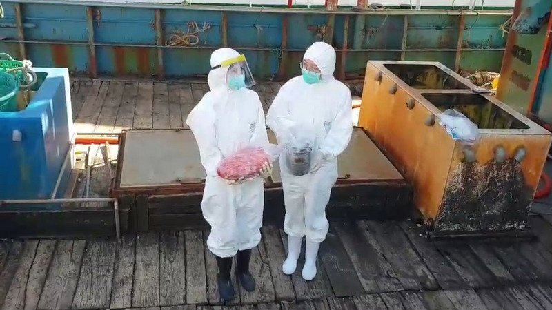 Encore du porc chinois trouvé à la douane