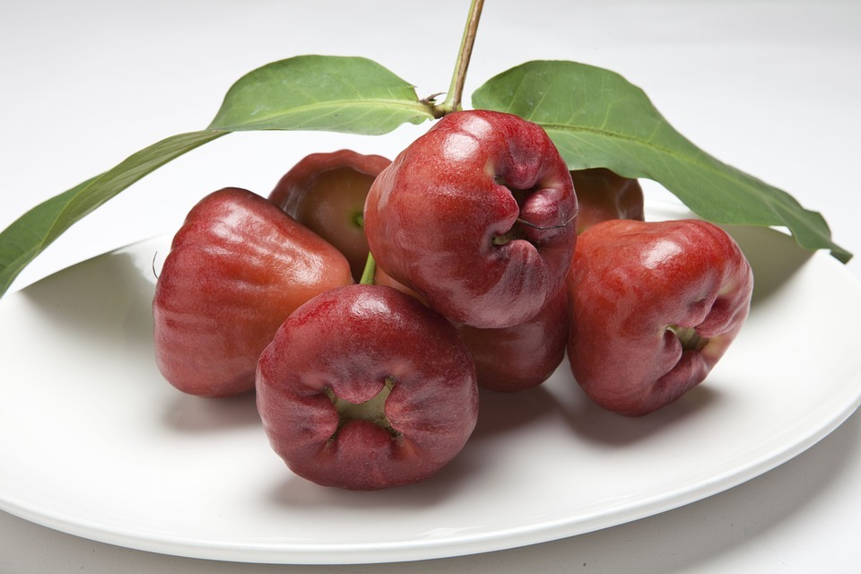 Les fruits taiwanais visent le marché hongkongais