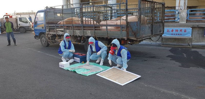 Renforcement des sanctions pour lutter contre la peste porcine africaine