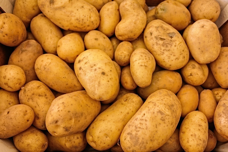 Situation autour de la récolte des pommes de terre