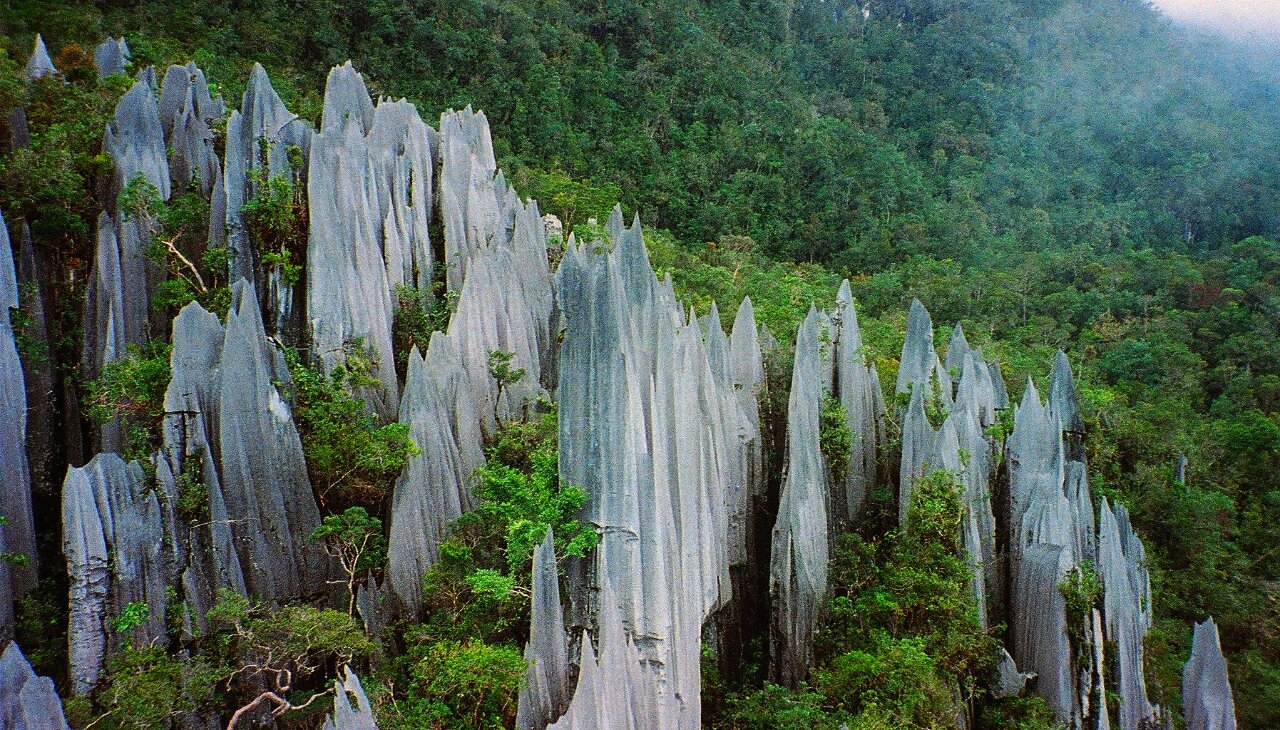 Le Gunung Mulu National Park dans l'Etat de Sarawak en Malaisie (Image : Flickr - paulwhitepics)