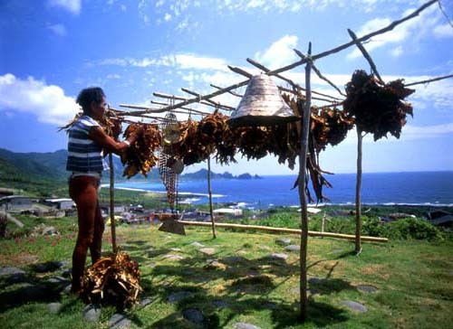 Coup d’envoi pour la pêche au poisson volant à Lanyu