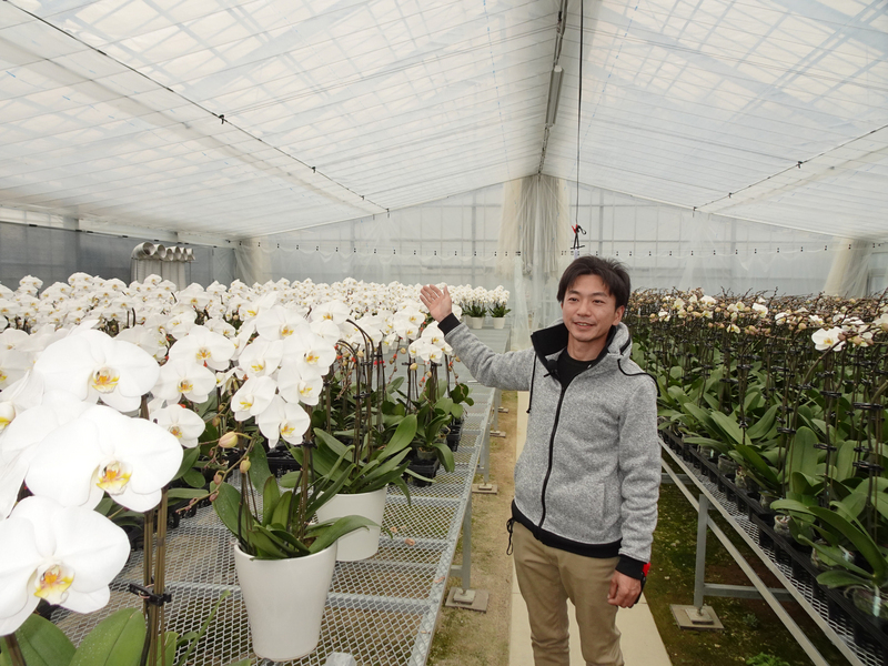 Des orchidées taiwanaises pour apporter le bonheur à Fukushima