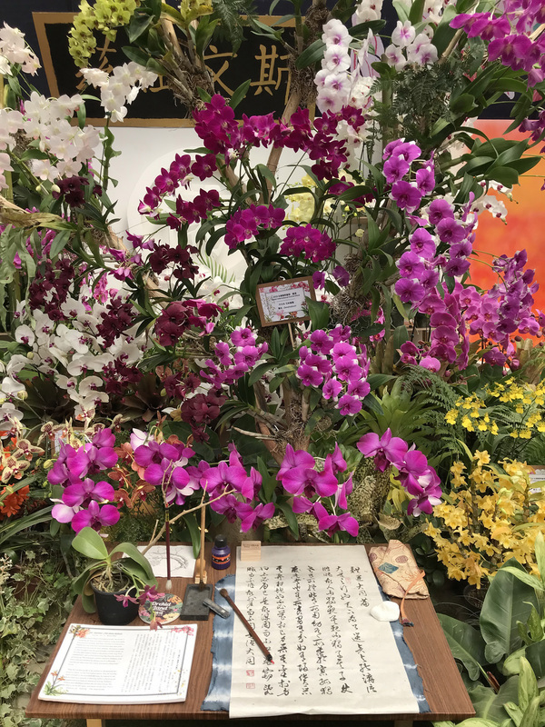 Les orchidées à l'honneur