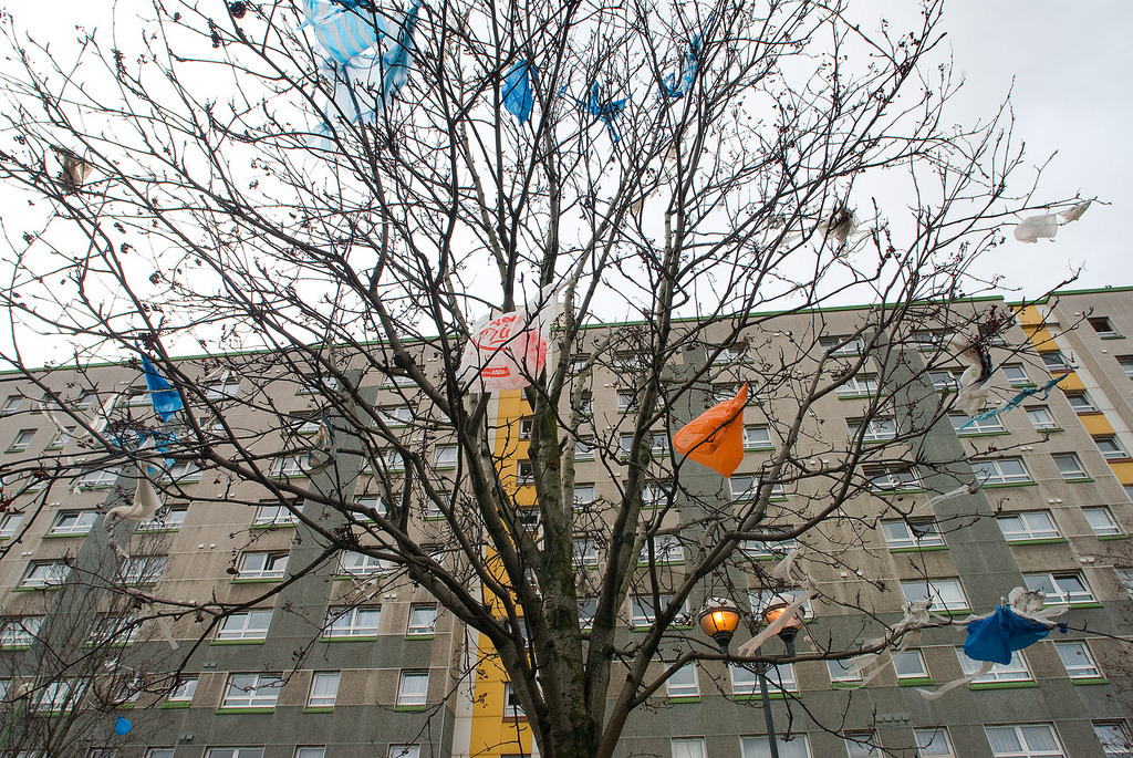 Plastic Bag Tree (Image : Flickr - Chris Guy)