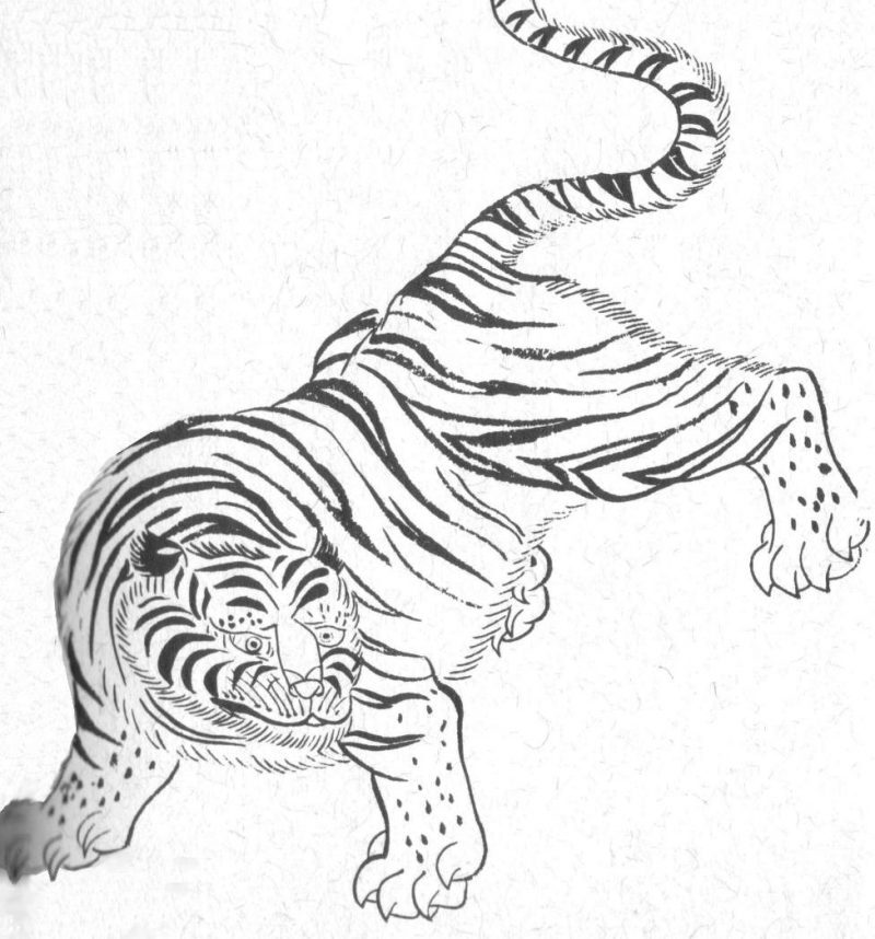 Un tigre s'empare du neveu du grand juge