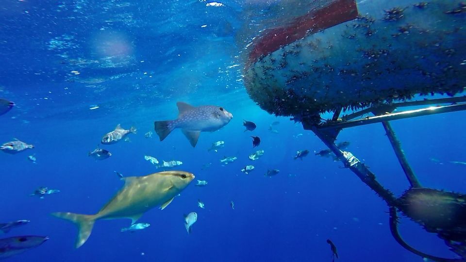 Le Yuan exécutif approuve le projet de la loi fondamentale sur les océans