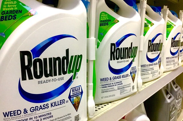 Le Roundup, un herbicide produit par Monsanto (Image : Flickr - https://flic.kr/p/FPmWRd  Roundup | by JeepersMedia Roundup | by JeepersMedia)