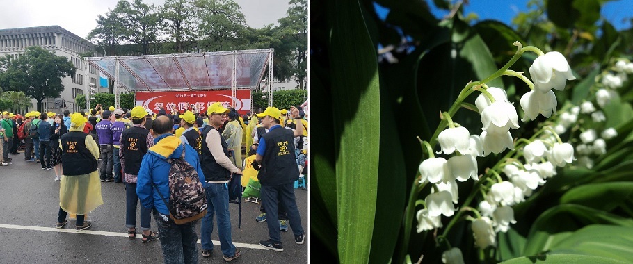 Courrier du samedi 04 mai: entre défilé, muguet et livres occidentaux