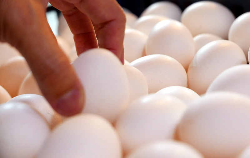 Sécurité alimentaire : Taiwan resserre le contrôle des œufs importés