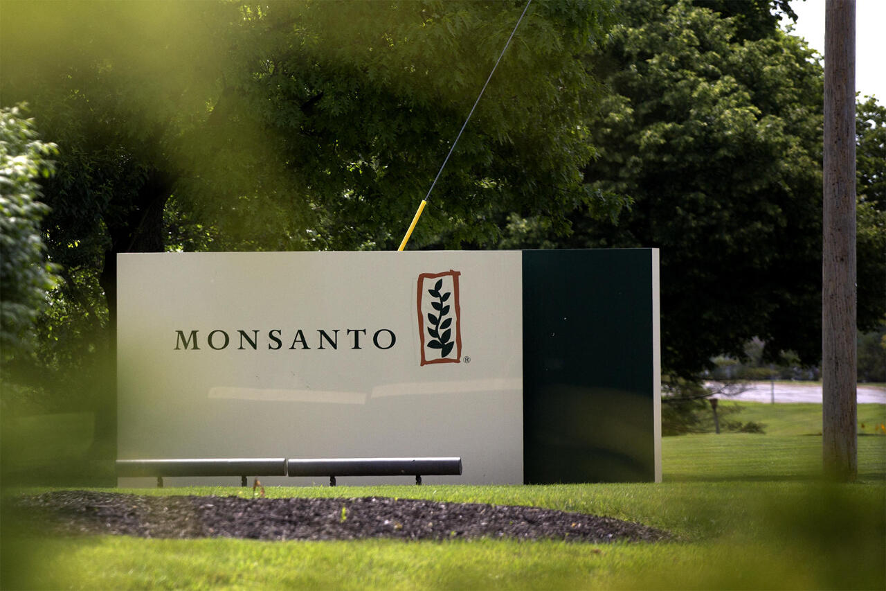Taiwan opte pour une autorisation du glyphosate