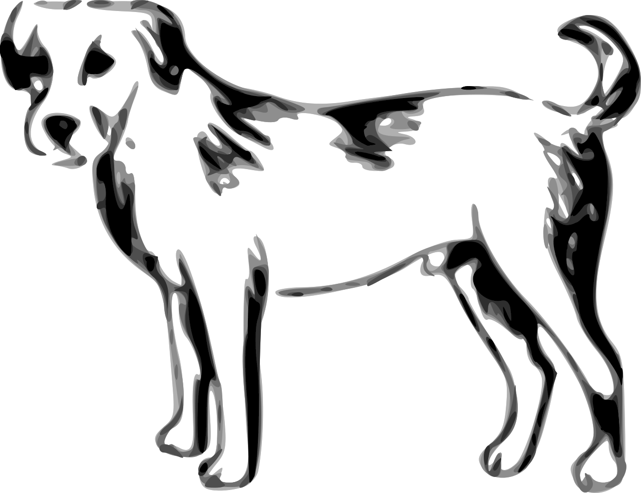 chien, illustration (image Wikimedia Commons)