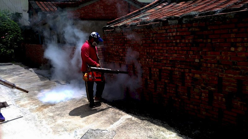 Recrudescence de fièvre dengue à Kaohsiung
