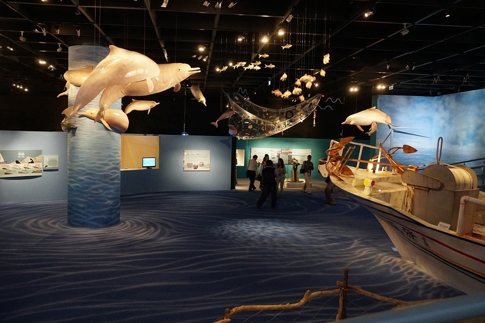 Plus que 50 dauphins à bosse du Pacifique à Taiwan