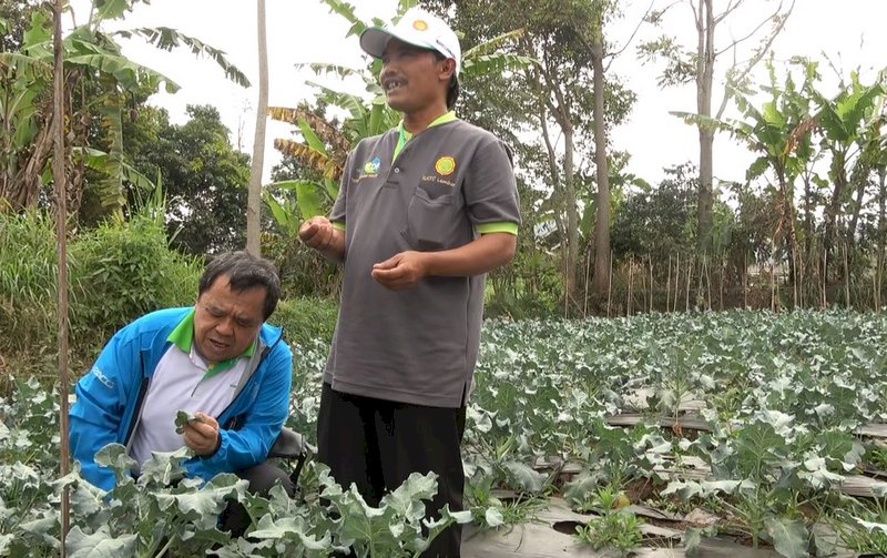 La coopération agricole entre Taiwan et l’Indonésie semble porter ses fruits