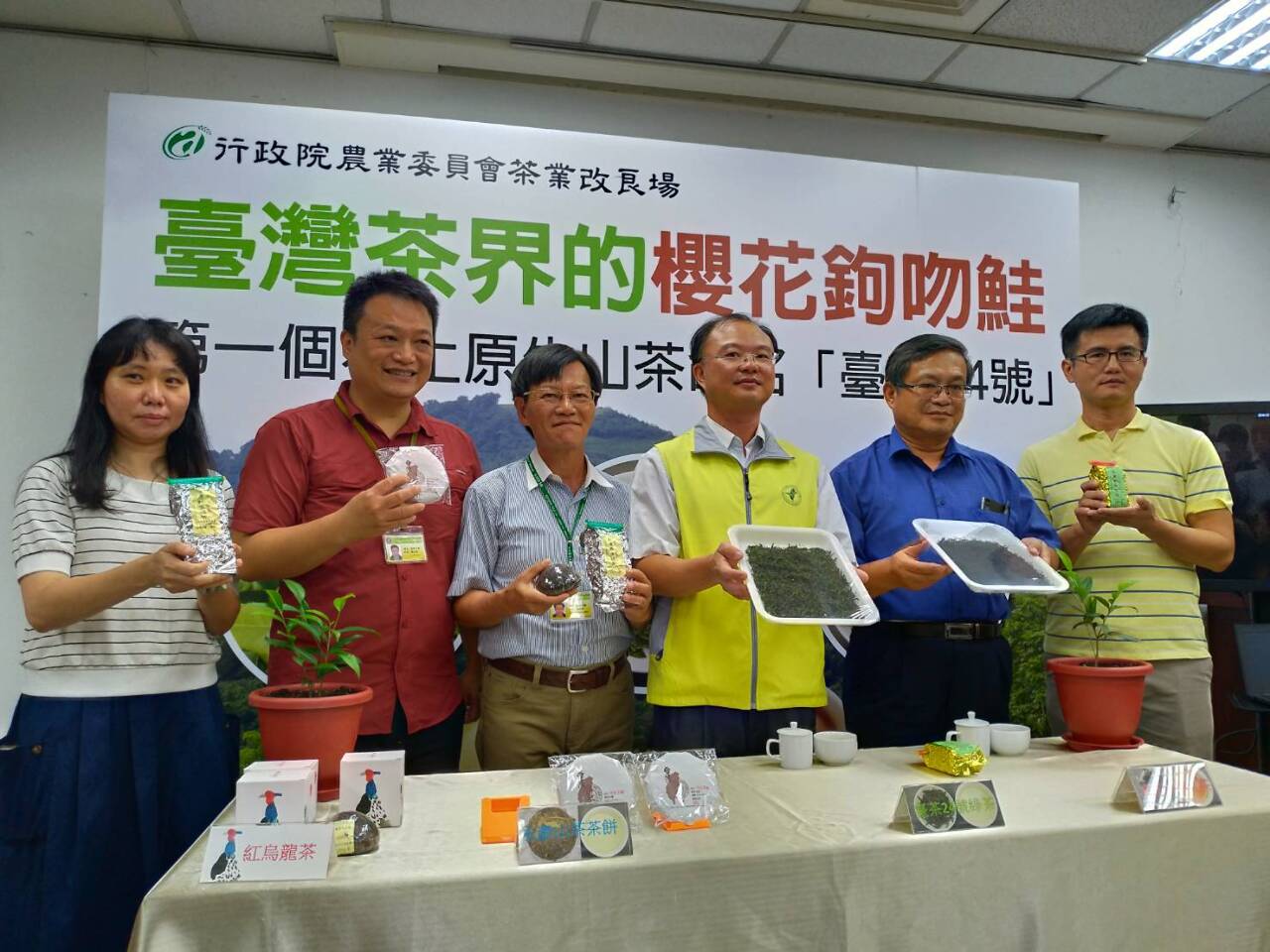 Une première espèce de thé de montagne originaire de Taiwan